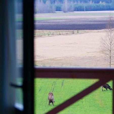 Losiowy Kat Goniądz Exterior foto