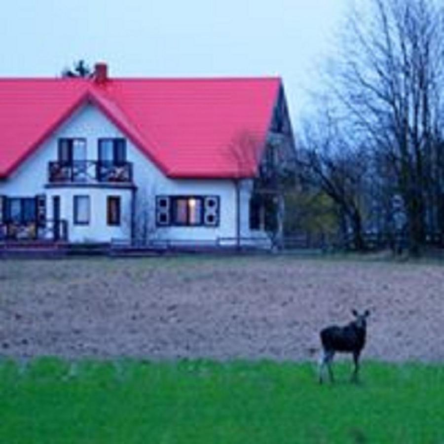 Losiowy Kat Goniądz Exterior foto