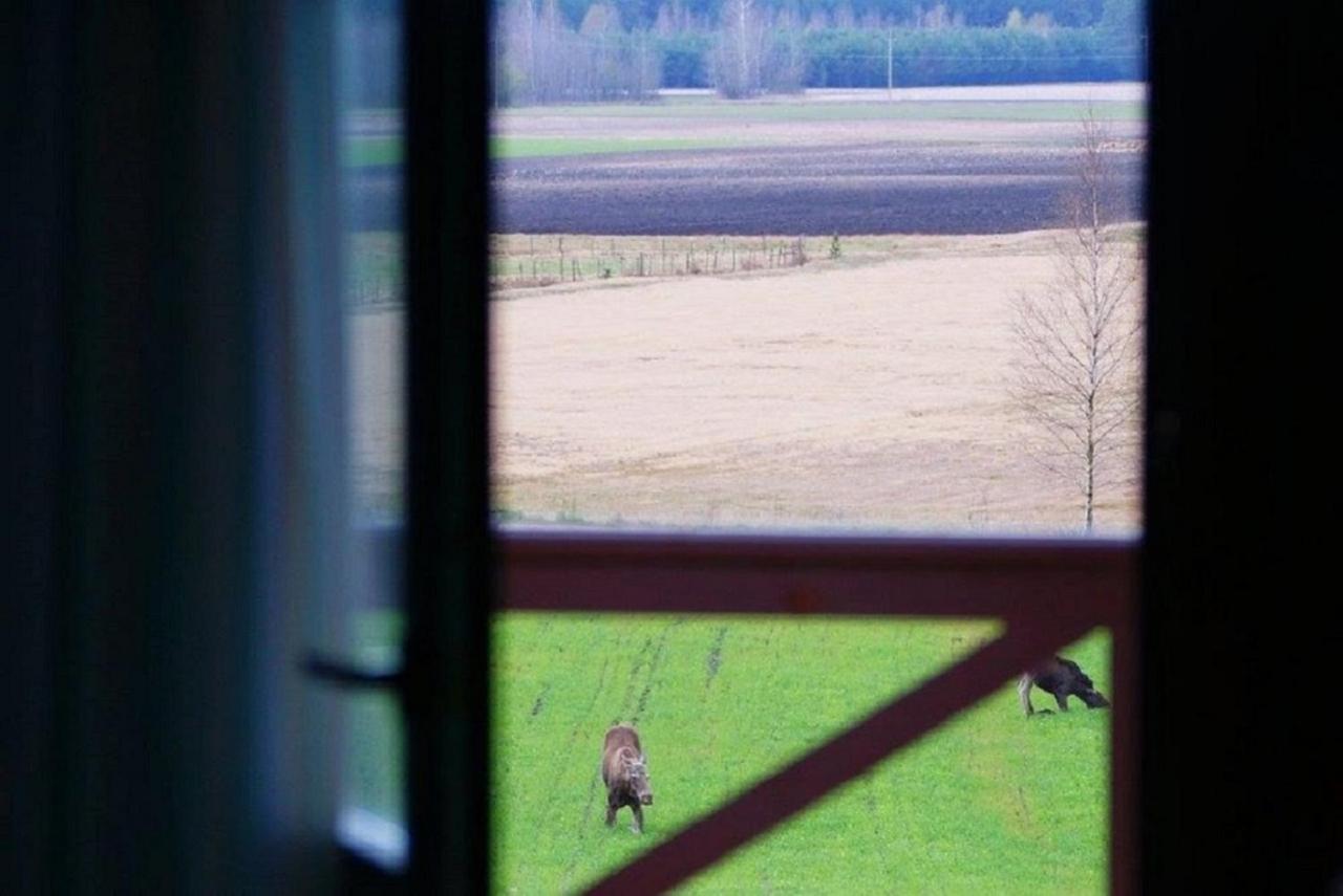 Losiowy Kat Goniądz Exterior foto